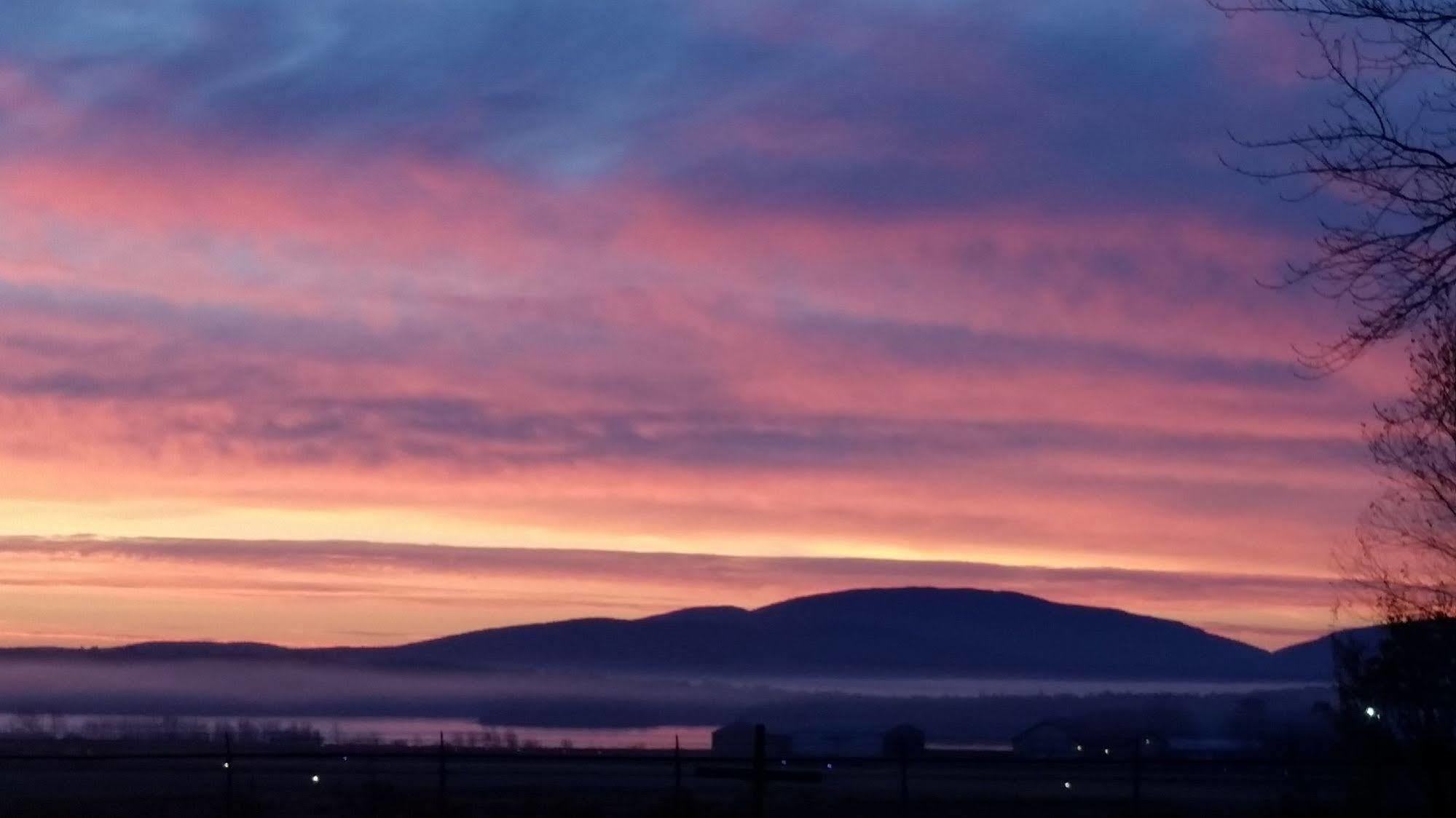 Acadia Sunrise Motel Trenton Dış mekan fotoğraf
